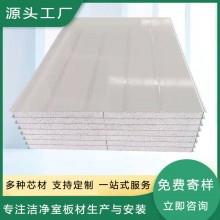 硅巖凈化板 批發(fā)機(jī)制硅巖凈化板無(wú)塵車間隔墻吊頂50mm 硅巖凈化板